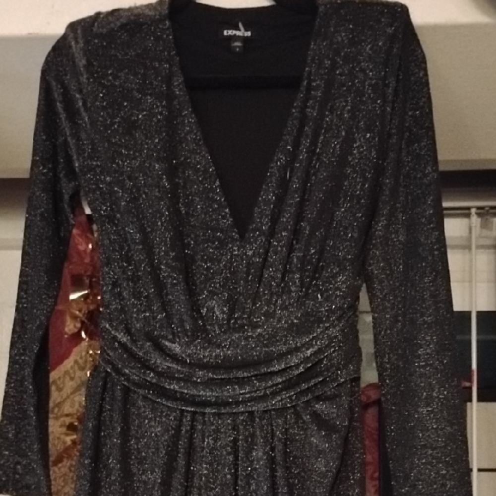 Express Black Shimmer Long Sleeve Dress